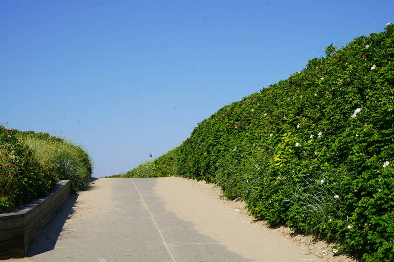 Urlaub am meer Callantsoog